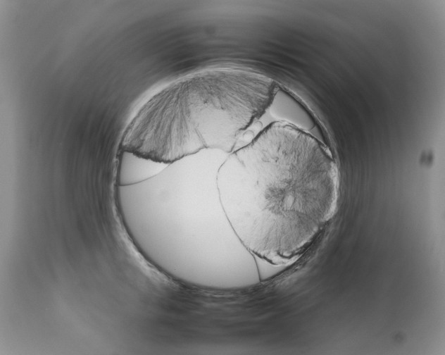 X0000111680853200908281134