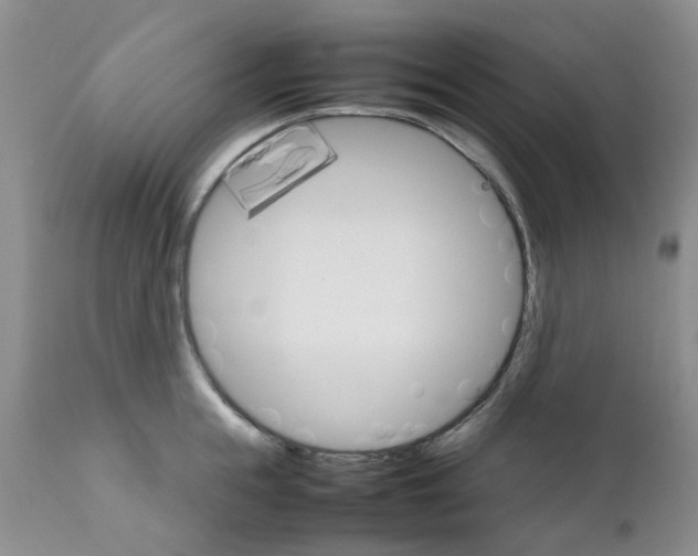 X0000111680855200908281134