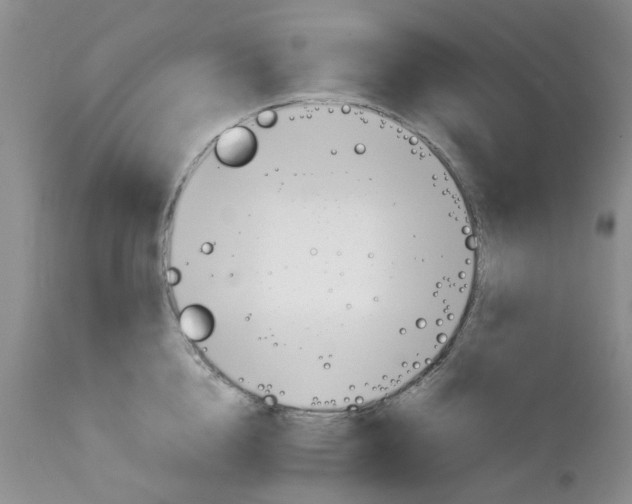 X0000111680856200908281134