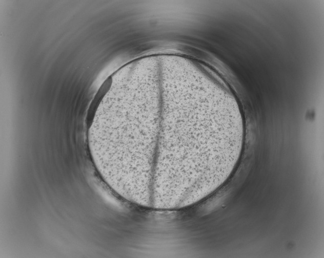 X0000111680858200908281134