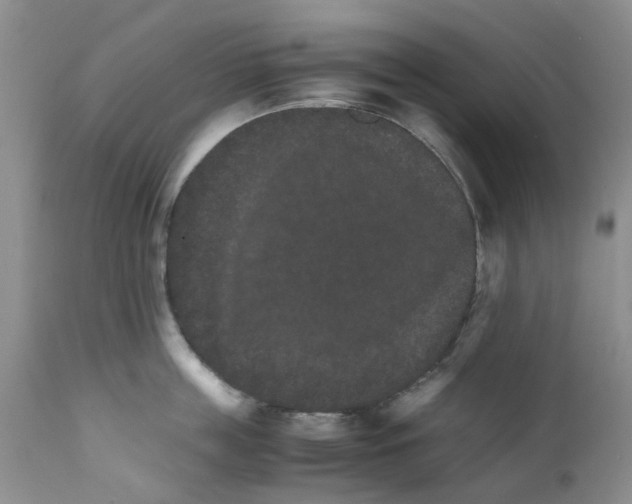 X0000111680859200908281134