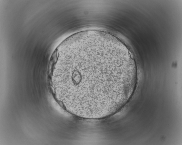 X0000111680860200908281134