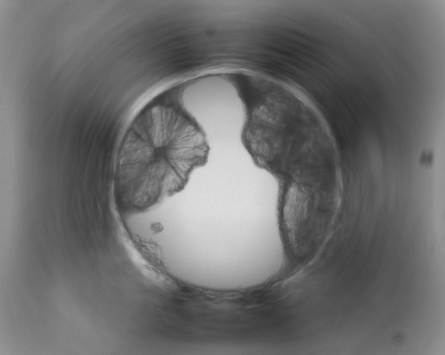 X0000111680861200908281134