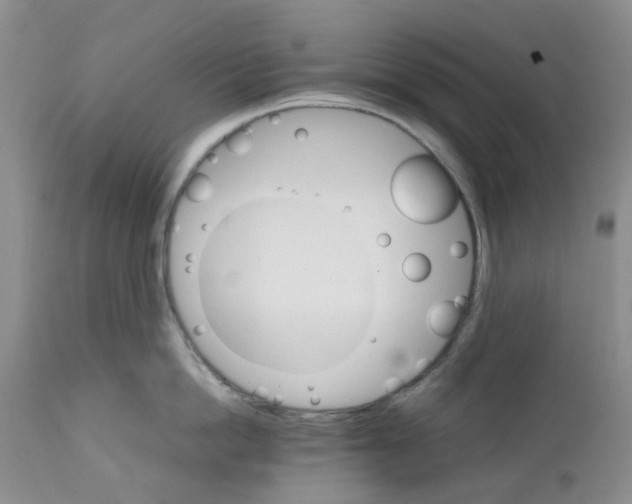 X0000111680862200908281134