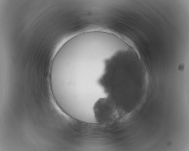 X0000111680863200908281134