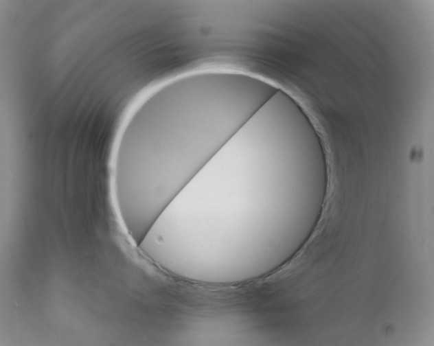 X0000111680864200908281134