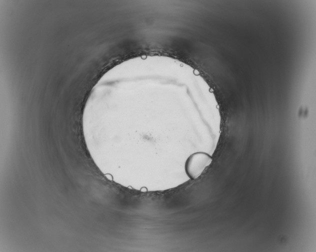 X0000111680865200908281133