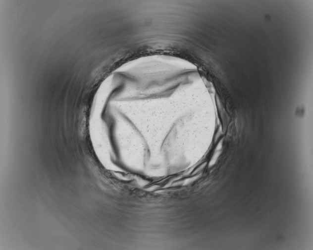 X0000111680868200908281133