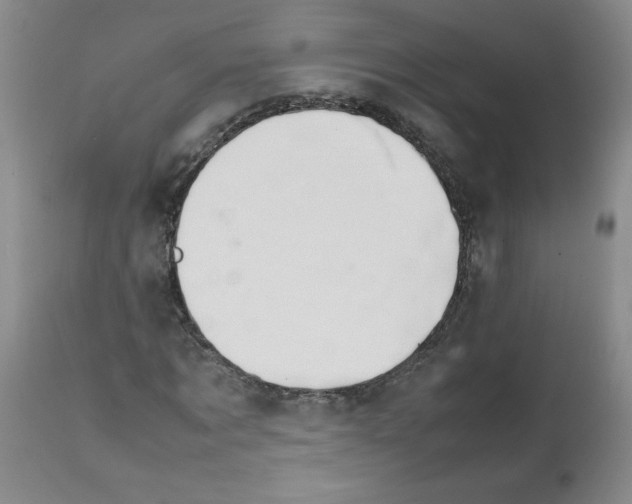 X0000111680869200908281133