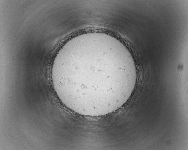 X0000111680870200908281133