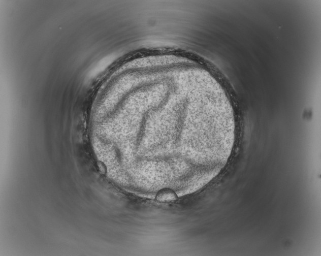 X0000111680871200908281133