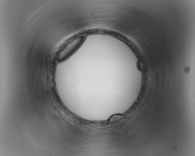 X0000111680872200908281133