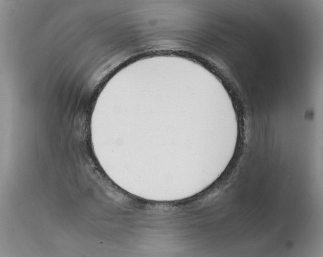 X0000111680873200908281133