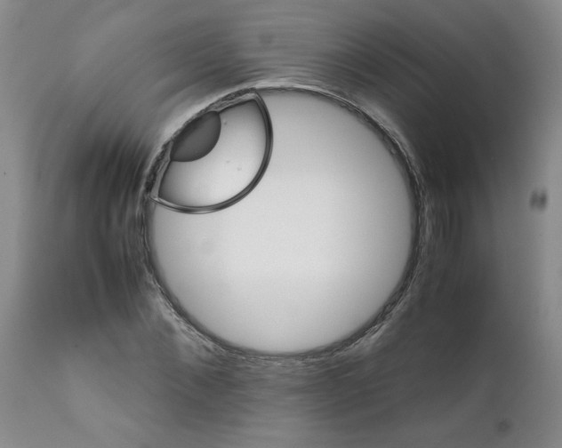 X0000111680876200908281133