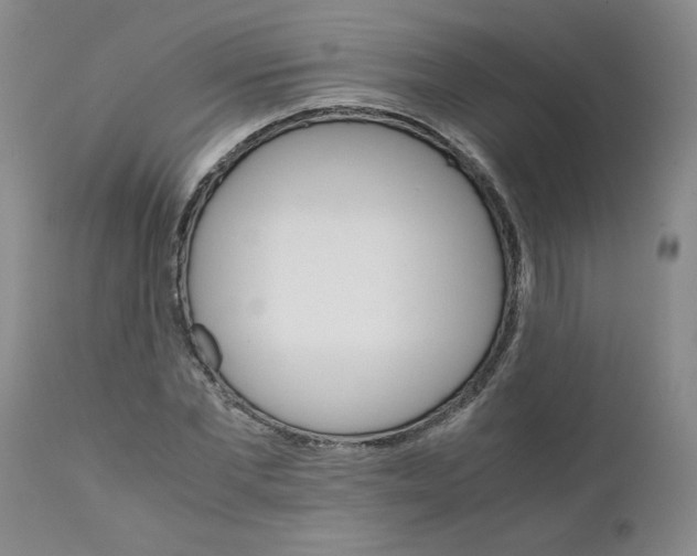 X0000111680877200908281133