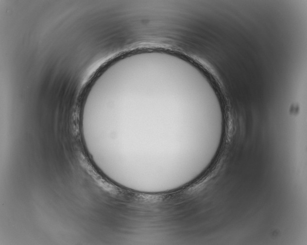 X0000111680878200908281133