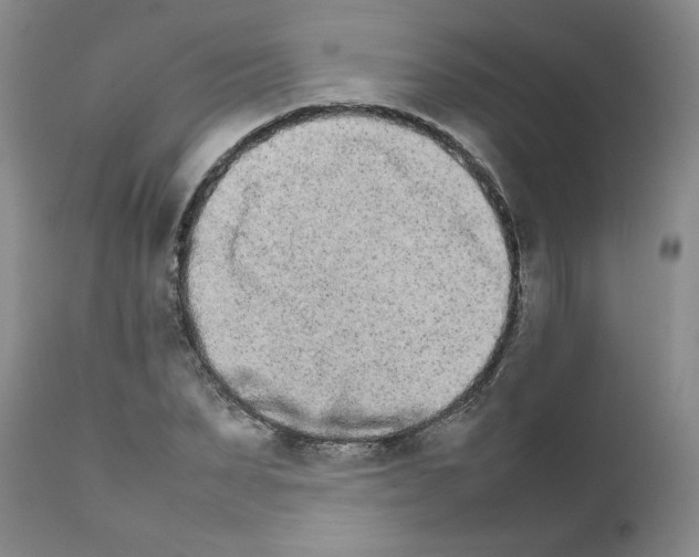 X0000111680879200908281133