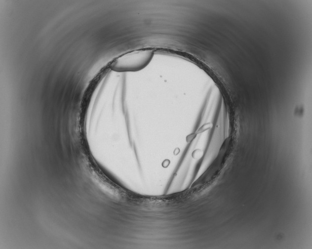 X0000111680880200908281133