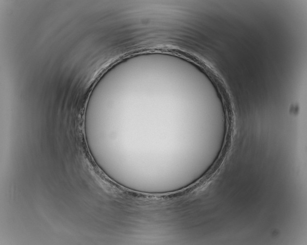 X0000111680881200908281133