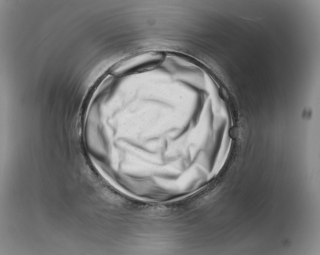 X0000111680885200908281133