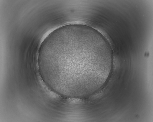 X0000111680886200908281133