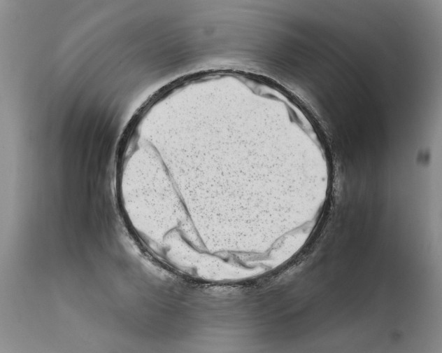 X0000111680888200908281133