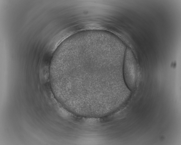 X0000111680889200908281133