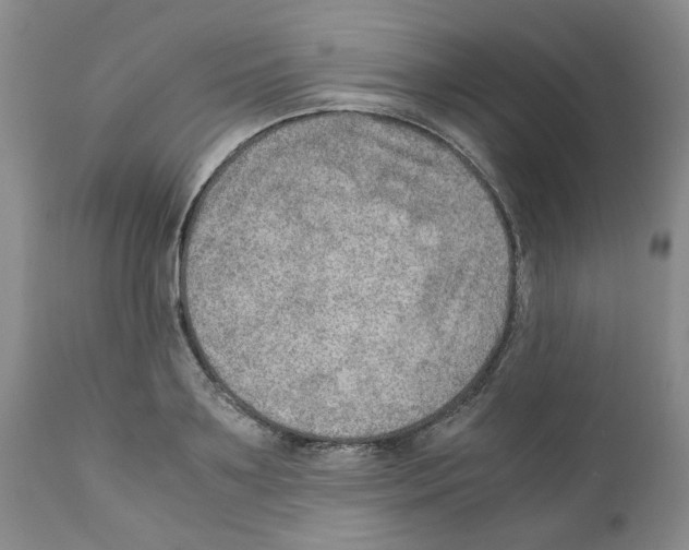 X0000111680891200908281133