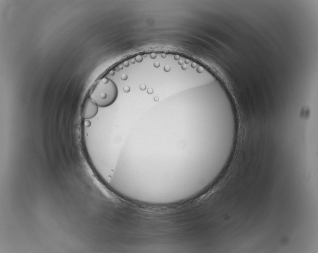 X0000111680894200908281133