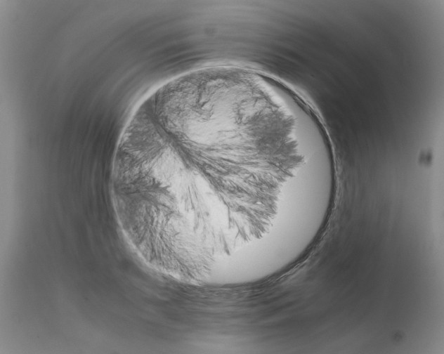 X0000111680895200908281133