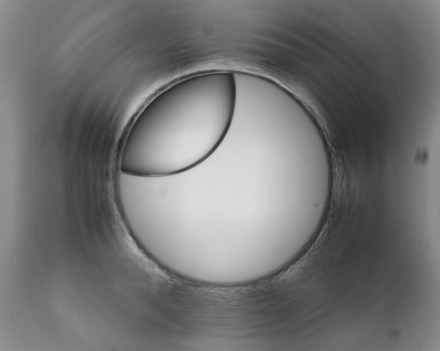 X0000111680896200908281133