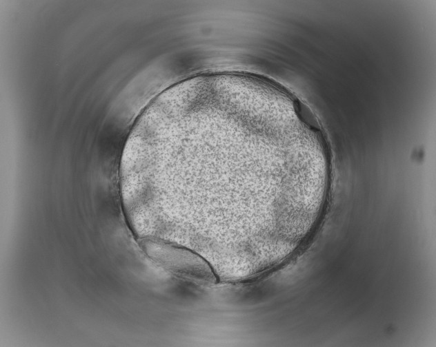 X0000111680897200908281133