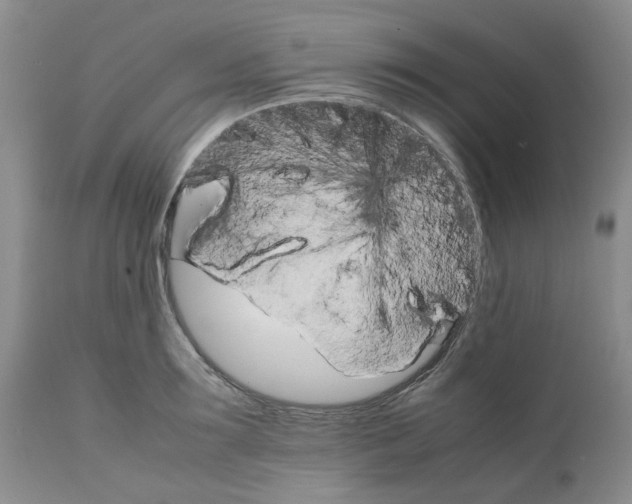 X0000111680899200908281133