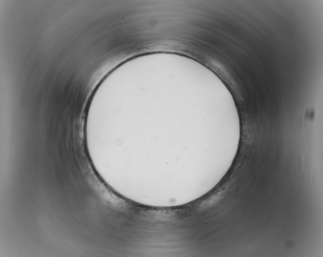 X0000111680900200908281133