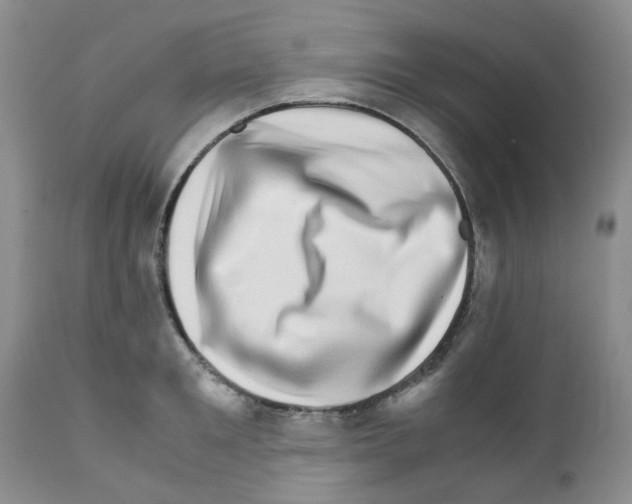 X0000111680901200908281133