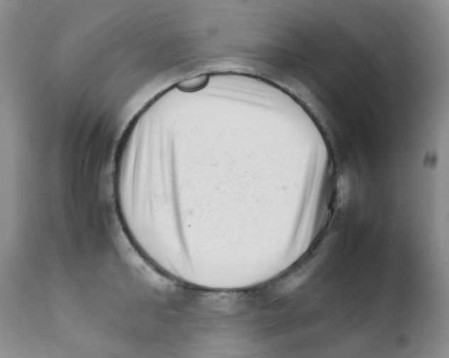 X0000111680902200908281133