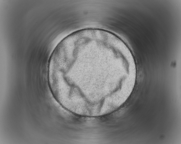 X0000111680903200908281133