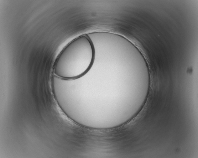 X0000111680904200908281133