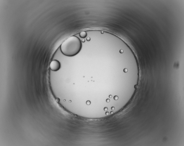 X0000111680906200908281133