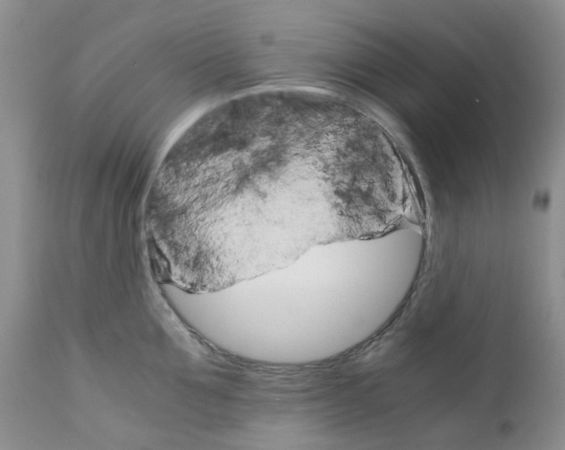 X0000111680907200908281133