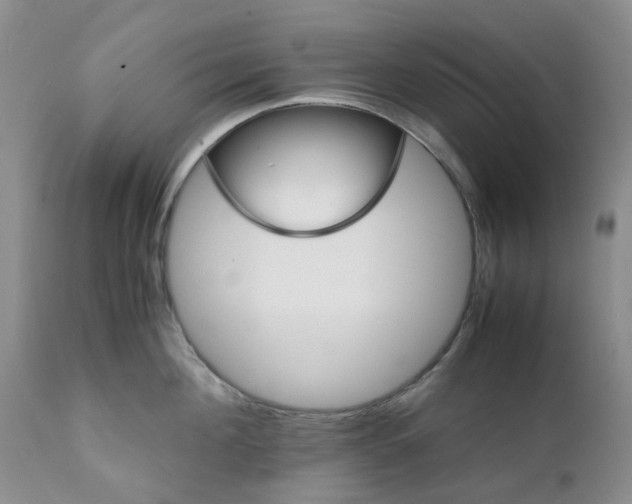 X0000111680908200908281133