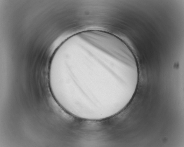 X0000111680910200908281133