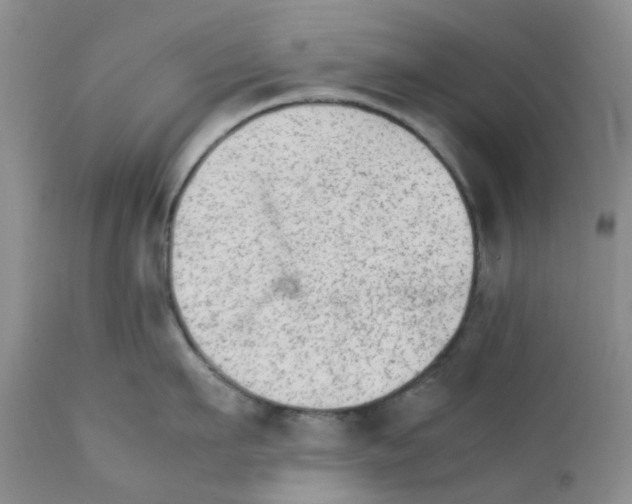 X0000111680911200908281132