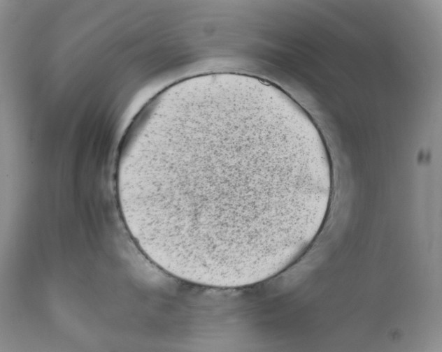 X0000111680912200908281132