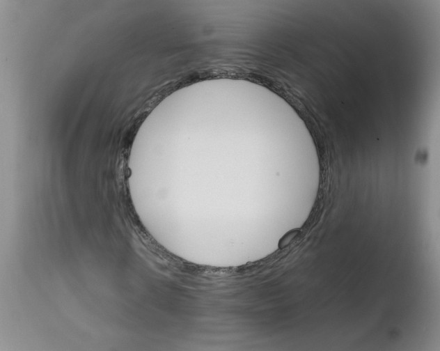 X0000111680914200908281131