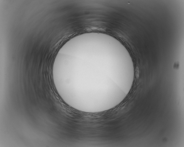 X0000111680915200908281131