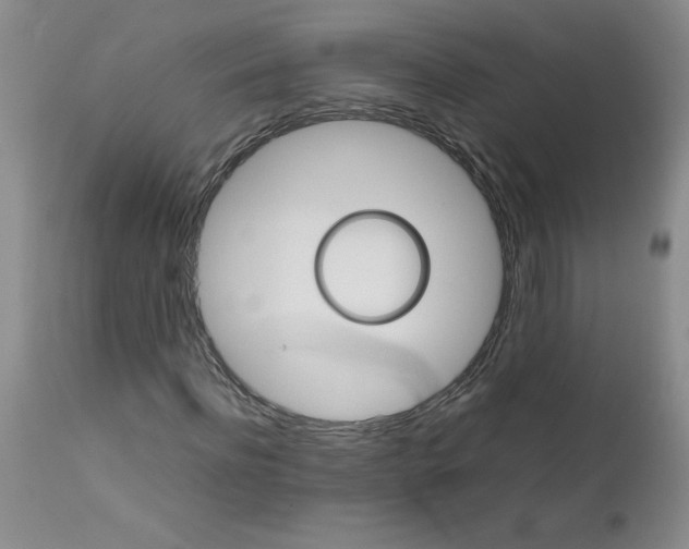 X0000111680916200908281132