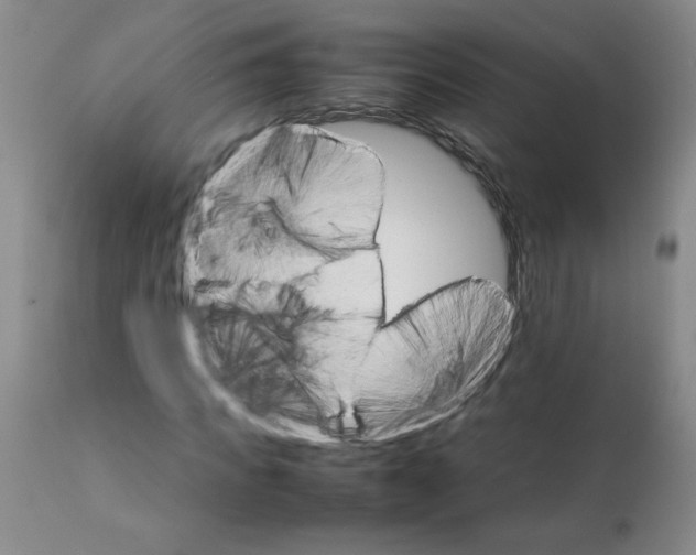 X0000111680917200908281132