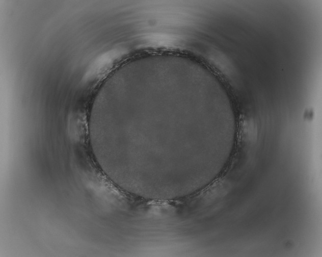 X0000111680918200908281132