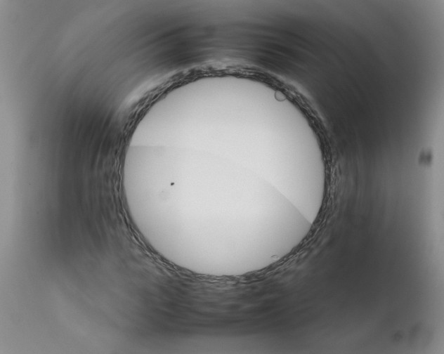 X0000111680919200908281132